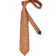 pánská kravata Gold Paisley LELE
