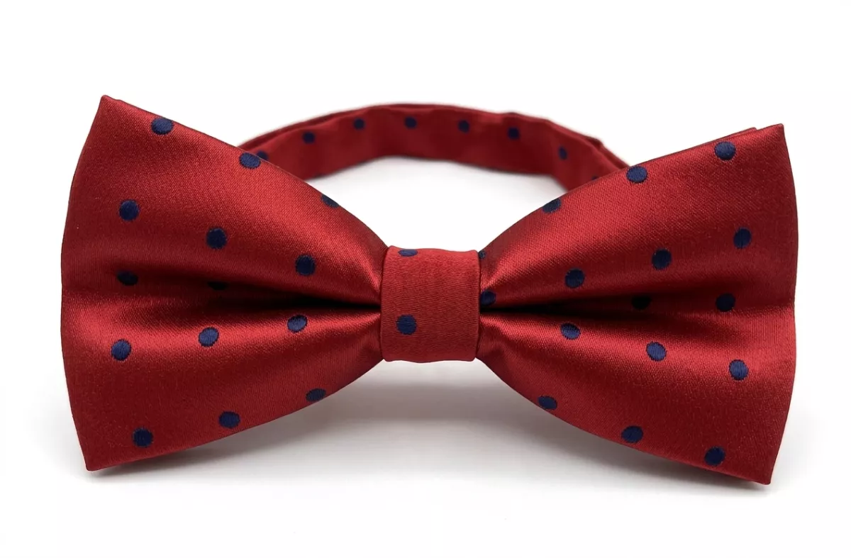 Stylový červený pánský motýlek s modrými puntíky: Elegantní doplněk pro oslavy a neformální svatby Runmei studio